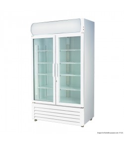 Large Two Glass Door Colourbond Upright Drink Fridge